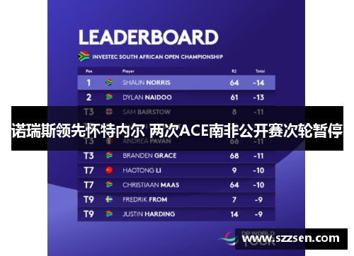 诺瑞斯领先怀特内尔 两次ACE南非公开赛次轮暂停